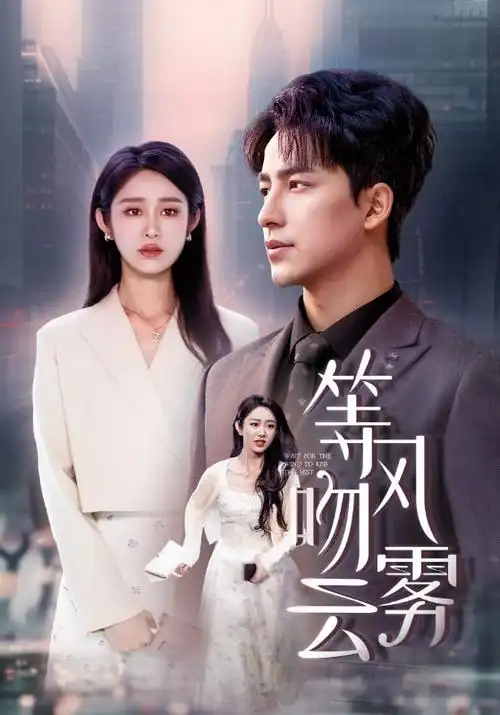 幻影之城 电视剧 2026